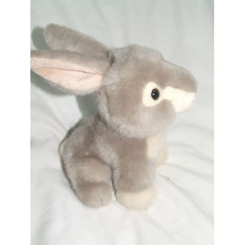 Lapin Harmony