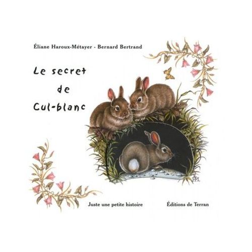 Le Secret De Cul-Blanc - Juste Une Petite Histoire