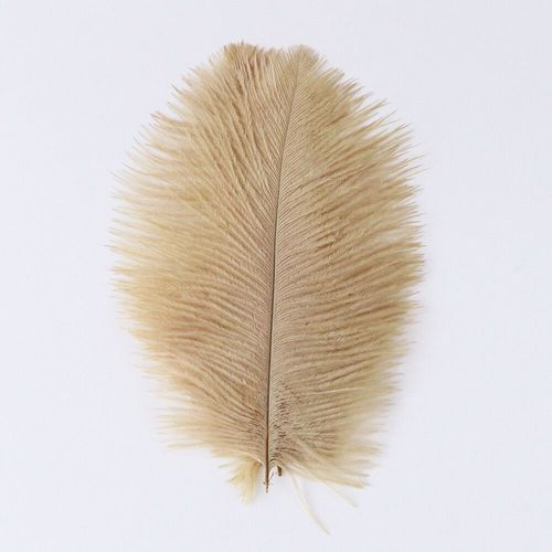 Plumes D'autruche Moelleuses Pour Vase Naturel,Replcatcher,Décorations,Fournitures D'artisanat,Accessoires De Mariage,Bijoux,Plumes Exécutives,10 Pièces - Type Camel-15-20cm