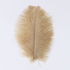 Plumes D'autruche Moelleuses Pour Vase Naturel,Replcatcher,Décorations,Fournitures D'artisanat,Accessoires De Mariage,Bijoux,Plumes Exécutives,10 Pièces - Type Camel-15-20cm