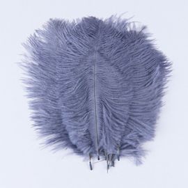 Plumes D'autruche Moelleuses Pour Vase Naturel,Replcatcher,Décorations,Fournitures D'artisanat,Accessoires De Mariage,Bijoux,Plumes Exécutives,10 Pièces - Type Deep Gray-30-35cm