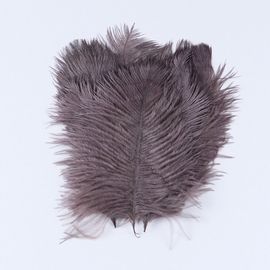 Plumes D'autruche Moelleuses Pour Vase Naturel,Replcatcher,Décorations,Fournitures D'artisanat,Accessoires De Mariage,Bijoux,Plumes Exécutives,10 Pièces - Type Coffee-25-30cm