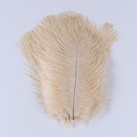 Plumes D'autruche Moelleuses Pour Vase Naturel,Replcatcher,Décorations,Fournitures D'artisanat,Accessoires De Mariage,Bijoux,Plumes Exécutives,10 Pièces - Type Champagne-30-35cm