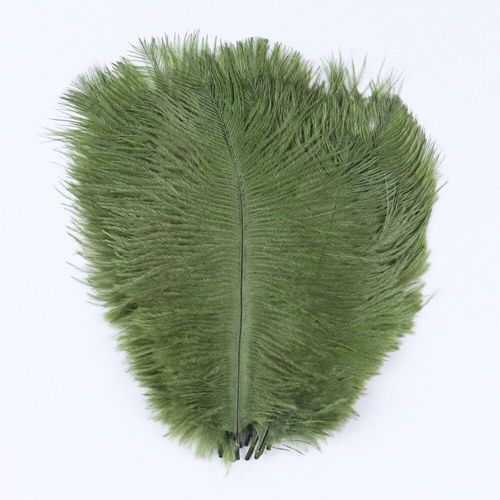 Plumes D'autruche Moelleuses Pour Vase Naturel,Replcatcher,Décorations,Fournitures D'artisanat,Accessoires De Mariage,Bijoux,Plumes Exécutives,10 Pièces - Type Deep Green-25-30cm