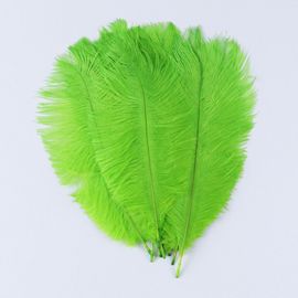 Plumes D'autruche Moelleuses Pour Vase Naturel,Replcatcher,Décorations,Fournitures D'artisanat,Accessoires De Mariage,Bijoux,Plumes Exécutives,10 Pièces - Type Light Green-25-30cm