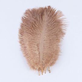 Plumes D'autruche Moelleuses Pour Vase Naturel,Replcatcher,Décorations,Fournitures D'artisanat,Accessoires De Mariage,Bijoux,Plumes Exécutives,10 Pièces - Type Deep Pink-25-30cm