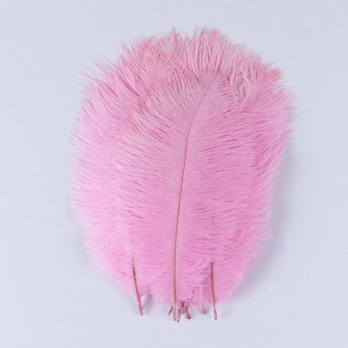 Plumes D'autruche Moelleuses Pour Vase Naturel,Replcatcher,Décorations,Fournitures D'artisanat,Accessoires De Mariage,Bijoux,Plumes Exécutives,10 Pièces - Type Pink-25-30cm