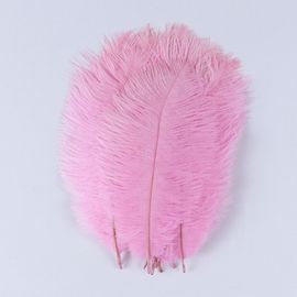 Plumes D'autruche Moelleuses Pour Vase Naturel,Replcatcher,Décorations,Fournitures D'artisanat,Accessoires De Mariage,Bijoux,Plumes Exécutives,10 Pièces - Type Pink-25-30cm