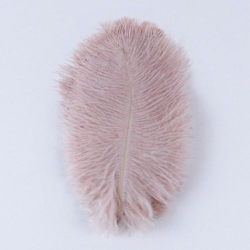 Plumes D'autruche Moelleuses Pour Vase Naturel,Replcatcher,Décorations,Fournitures D'artisanat,Accessoires De Mariage,Bijoux,Plumes Exécutives,10 Pièces - Type Pink 2-30-35cm