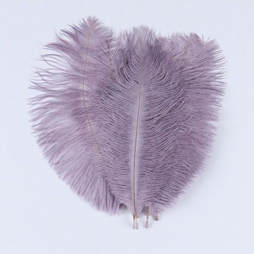 Plumes D'autruche Moelleuses Pour Vase Naturel,Replcatcher,Décorations,Fournitures D'artisanat,Accessoires De Mariage,Bijoux,Plumes Exécutives,10 Pièces - Type Light Purple-25-30cm