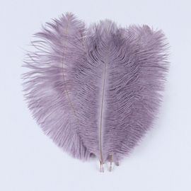 Plumes D'autruche Moelleuses Pour Vase Naturel,Replcatcher,Décorations,Fournitures D'artisanat,Accessoires De Mariage,Bijoux,Plumes Exécutives,10 Pièces - Type Light Purple-25-30cm