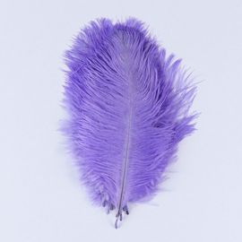 Plumes D'autruche Moelleuses Pour Vase Naturel,Replcatcher,Décorations,Fournitures D'artisanat,Accessoires De Mariage,Bijoux,Plumes Exécutives,10 Pièces - Type Purple-15-20cm
