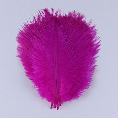 Plumes D'autruche Moelleuses Pour Vase Naturel,Replcatcher,Décorations,Fournitures D'artisanat,Accessoires De Mariage,Bijoux,Plumes Exécutives,10 Pièces - Type Rose-15-20cm
