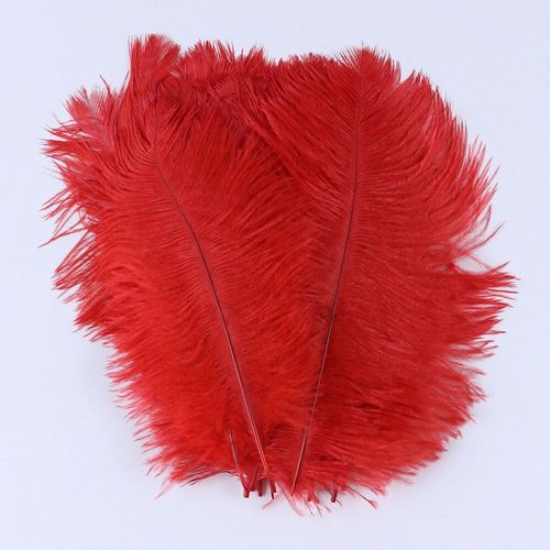 Plumes D'autruche Moelleuses Pour Vase Naturel,Replcatcher,Décorations,Fournitures D'artisanat,Accessoires De Mariage,Bijoux,Plumes Exécutives,10 Pièces - Type Red-15-20cm