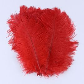 Plumes D'autruche Moelleuses Pour Vase Naturel,Replcatcher,Décorations,Fournitures D'artisanat,Accessoires De Mariage,Bijoux,Plumes Exécutives,10 Pièces - Type Red-15-20cm