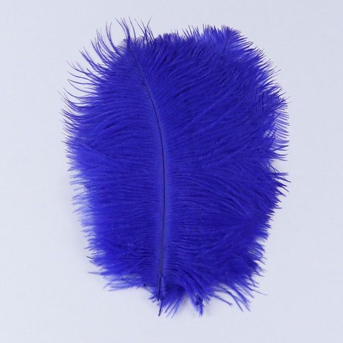 Plumes D'autruche Moelleuses Pour Vase Naturel,Replcatcher,Décorations,Fournitures D'artisanat,Accessoires De Mariage,Bijoux,Plumes Exécutives,10 Pièces - Type Royal Blue-15-20cm