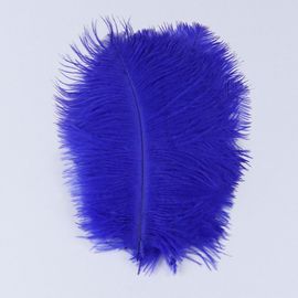 Plumes D'autruche Moelleuses Pour Vase Naturel,Replcatcher,Décorations,Fournitures D'artisanat,Accessoires De Mariage,Bijoux,Plumes Exécutives,10 Pièces - Type Royal Blue-15-20cm