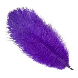 Plumes D'autruche Blanches De 15 À 60cm,Centres De Table,Accessoires De Ixde Mariage,Artisanat Décoratif,,10 Pièces - Type Deep Purple-55-60cm