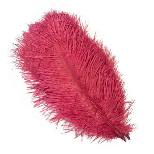 Plumes D'autruche Blanches De 15 À 60cm,Centres De Table,Accessoires De Ixde Mariage,Artisanat Décoratif,,10 Pièces - Type Wine-45-50cm