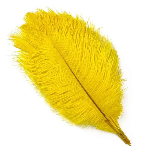 Plumes D'autruche Blanches De 15 À 60cm,Centres De Table,Accessoires De Ixde Mariage,Artisanat Décoratif,,10 Pièces - Type Yellow-55-60cm