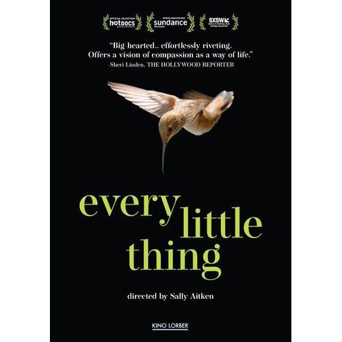 Every Little Thing [Digital Video Disc] Ac-3/Dolby Digital, Subtitled, Widescreen
