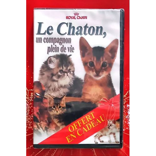 Dvd Documentaire Le Chaton Un Compagnon Plein De Vie Chat / 58/M4