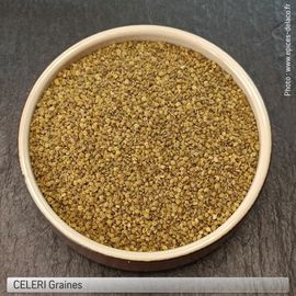 Celeri Graine - 125gr - M