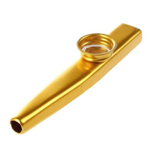 Flûte Métal Bouche Instrument De Musique Harmonica Pratique Or