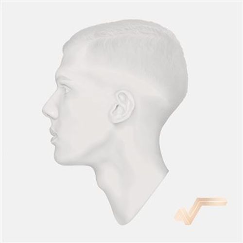 Racine Carrée Édition Limitée 10ème Anniversaire