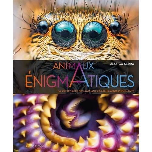 Animaux Énigmatiques - La Vie Secrète Des Animaux Les Plus Impressionnants