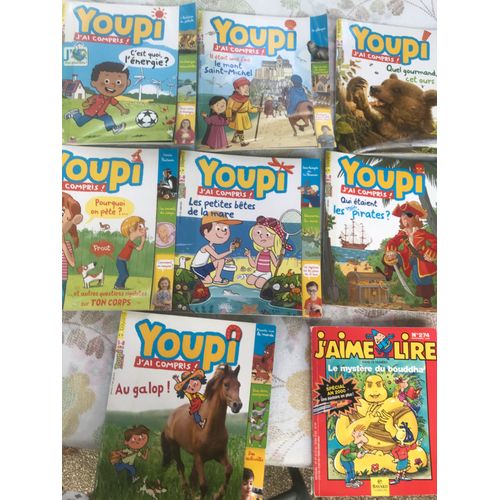 Lot De 8 Revues Pour Enfants 7 Youpi Et 1 J Aime Lire : L Énergie, Mont St Michel, L Ours, On Pete, Bêtes De La Mare, Les Pirates, Au Galop, Le Bouddha, L Hippocampe, Le Requin, La Peau, L Pasteur