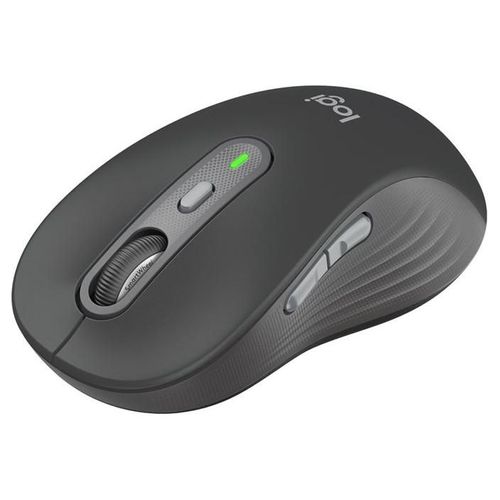 Logitech Signature M750 - Souris - optique - 6 boutons - sans fil - 2.4 GHz, Bluetooth - récepteur USB Logitech Logi Bolt - graphite