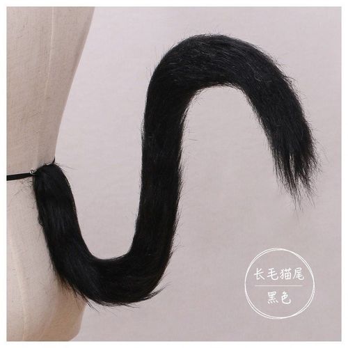 Anime Lolita Animal Catgirl Queue Cosplay Costume, Poinfille, Accessoires De Queue De Chat, Accessoires De Ix