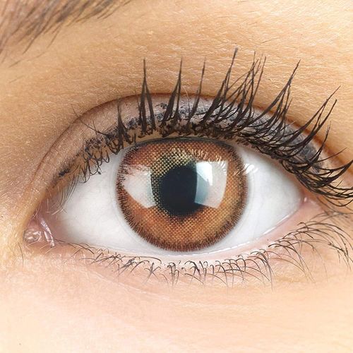Lentilles De Couleur Marron Naturelles Colorées Très Haute Opacité Mirel Choco+Étuis À Lentilles De Contact I 1 Paire(2 Pièces) I 90 Jours I Sans Correction I 0,00 Dioptries 