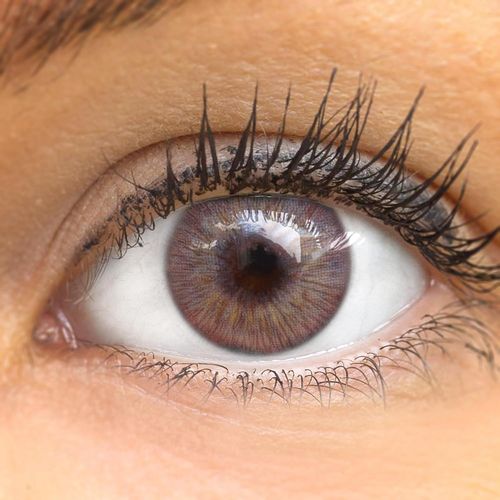 Lentilles De Couleur Marroni Naturelles Colorées Très Haute Opacité(Bilbao Brown)+Étuis À Lentilles De Contact 1 Paire(2 Pièces) 90 Jours Sans Correction 0,00 Dioptries 