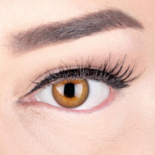 Lentilles De Couleur Marron Naturelles Colorées Très Haute Opacité Elly Brown+Étuis À Lentilles De Contact I 1 Paire(2 Pièces) I 90 Jours I Sans Correction I 0,00 Dioptries 