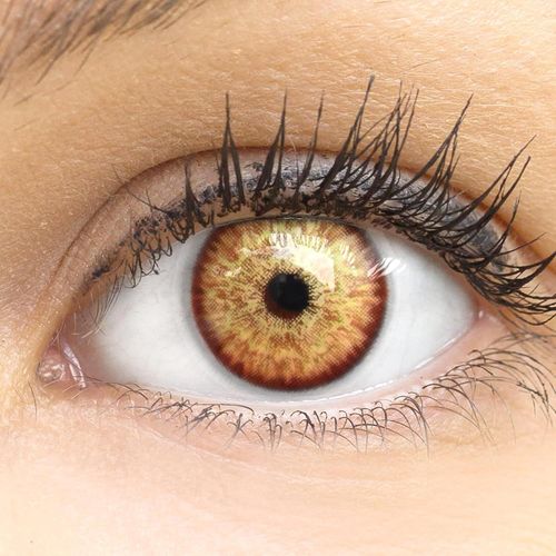 Lentilles De Couleur Brun Naturelles Colorées Très Haute Opacité Ibiza Brown+Étuis À Lentilles De Contact I 1 Paire(2 Pièces) I 90 Jours I Sans Correction I 0,00 Dioptries 