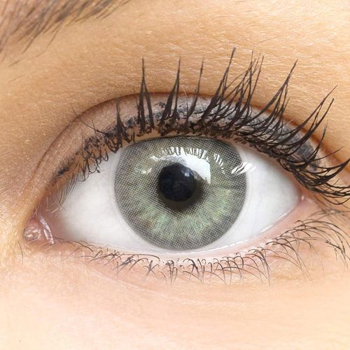 Lentilles De Couleur Grises Naturelles Colorées Très Haute Opacité Mailand Gray+Étuis À Lentilles De Contact I 1 Paire(2 Pièces) I 90 Jours I Sans Correction I 0,00 Dioptries 