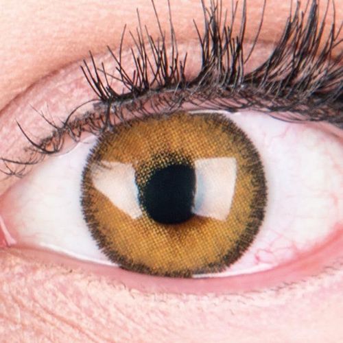 Lentilles De Couleur Marron Naturelles Colorées Très Haute Opacité Mirel Brown+Étuis À Lentilles De Contact I 1 Paire(2 Pièces) I 90 Jours I Sans Correction I 0,00 Dioptries 