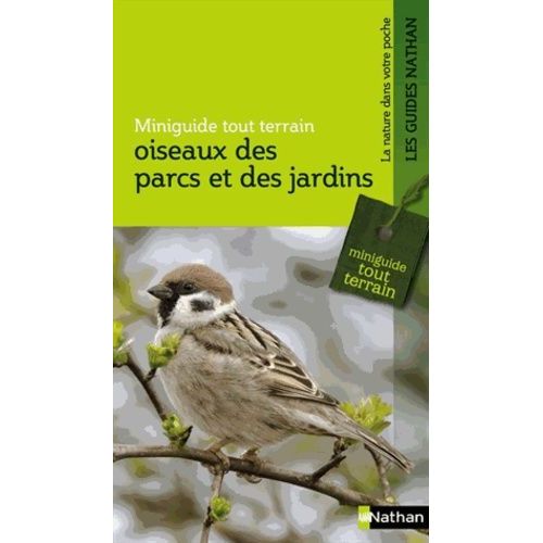 Oiseaux Des Parcs Et Des Jardins