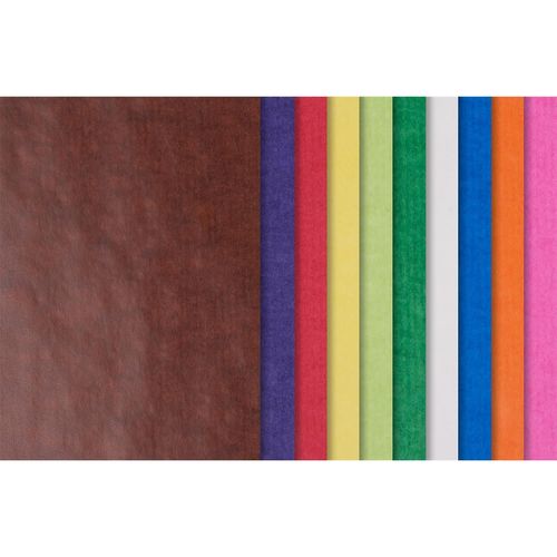 Folia Pack 100 Feuilles Papier Transparent, (L)500x(H)700 Mm, 42 G/M2, Assorti