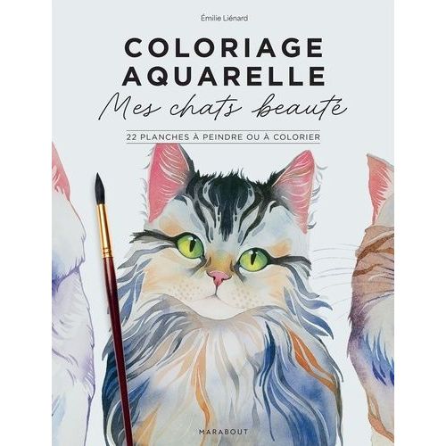 Coloriage Aquarelle : Mes Chats Beautés - 22 Planches À Peindre Ou À Colorier