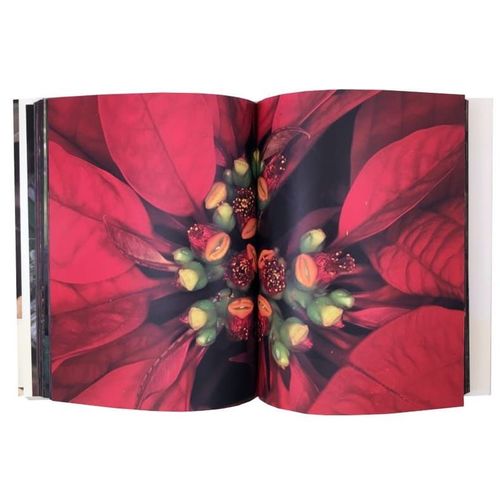 Araki Nobuyoshi (1940-)‎ ‎Kakyoku Symphonie Florale‎