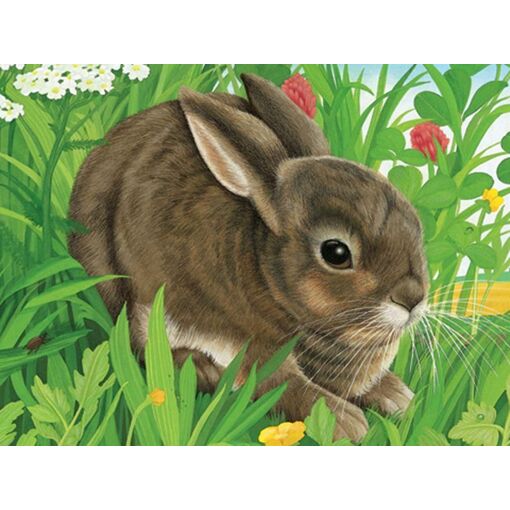 Puzzle Puzzle 12 Cubes - Animaux - 2