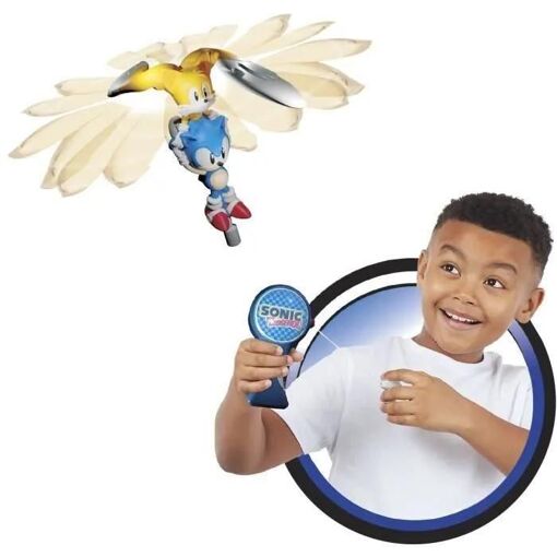 Flying Heroes - Sonic