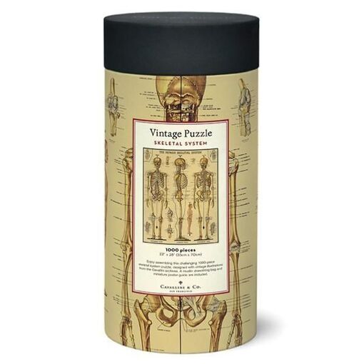 Puzzle 1000 Pi�ces Cavallini - Skeletal System Squelette - 2