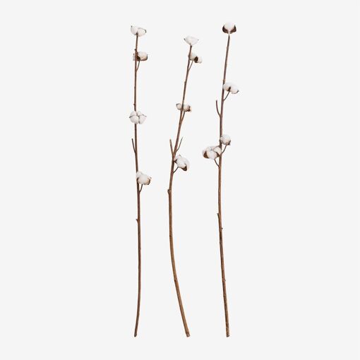 Lot De 3 Branches S�ches D�coratives Vedran Blanc