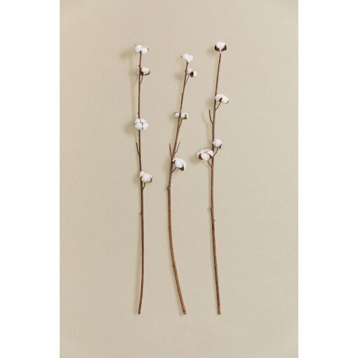 Lot De 3 Branches S�ches D�coratives Vedran Blanc - 2