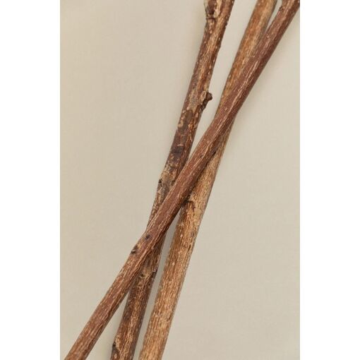 Lot De 3 Branches S�ches D�coratives Vedran Blanc - 4