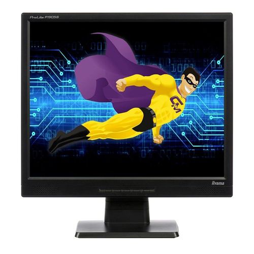 Ecran PC 19" IIyama ProLite P1905S-B2 PLP1900 VGA DVI 5:4 1280x1024 LCD LED TFT